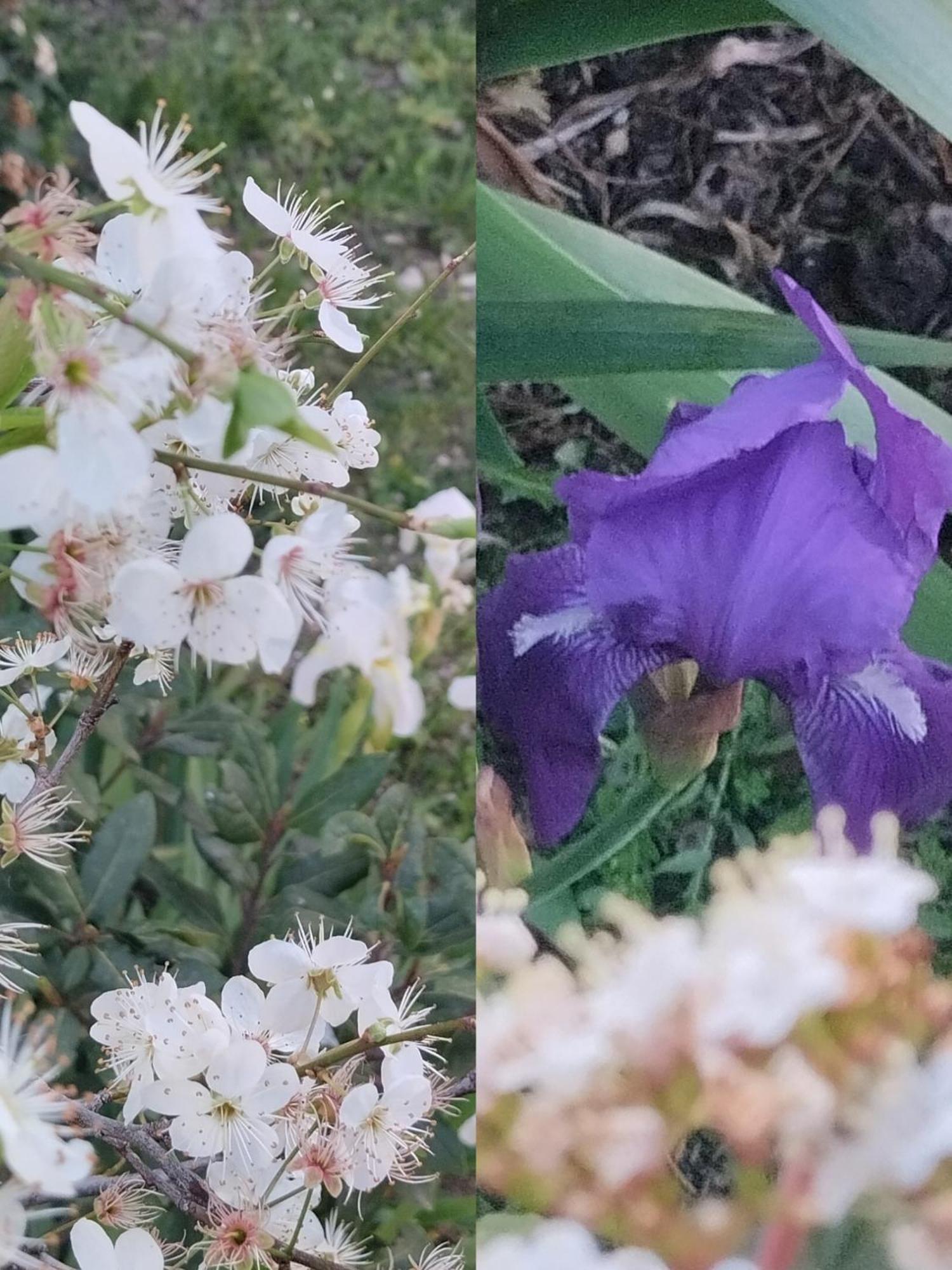 אקרנאי Lovely Place מראה חיצוני תמונה